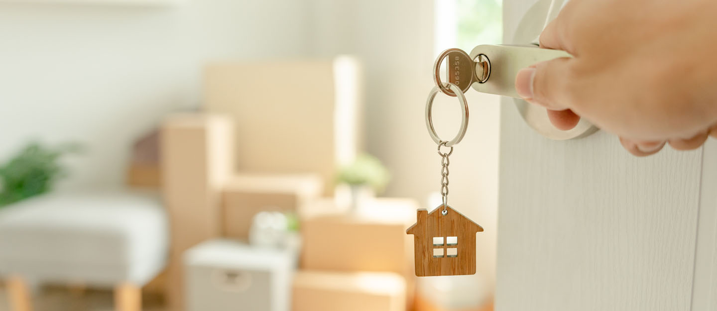 مطورين وملاك